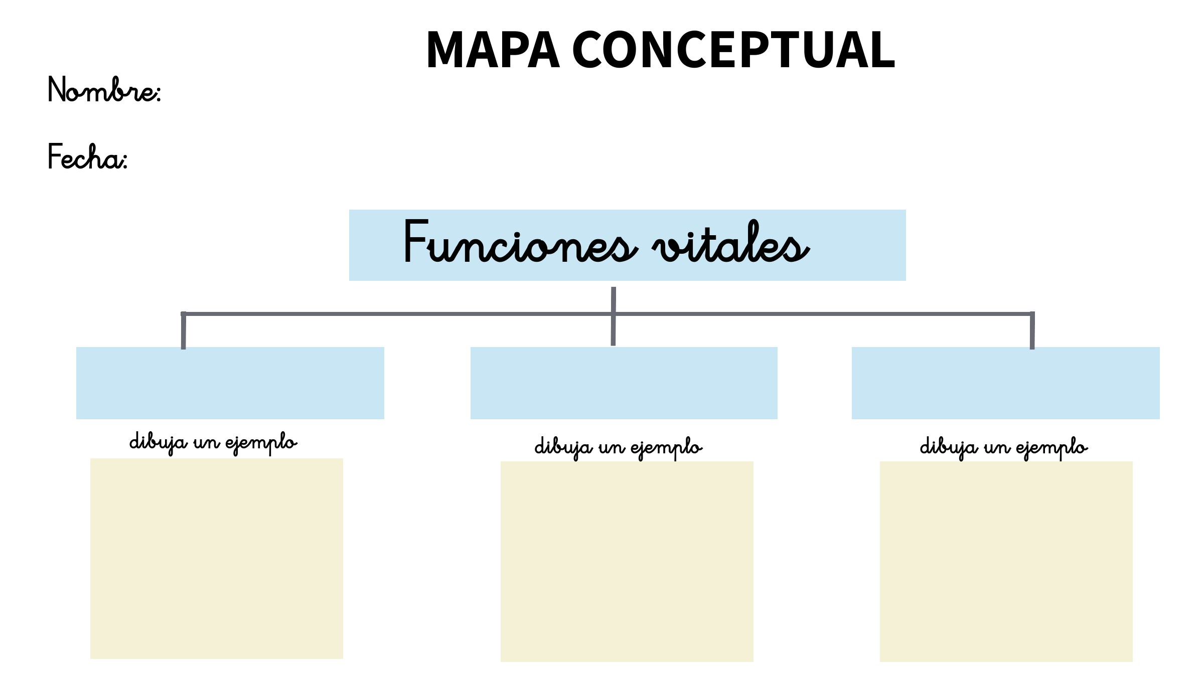 Realizar un mapa conceptual de las funciones vitales y poner un dibujo como ejemplo.