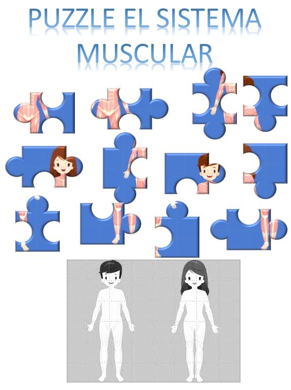 Imagen de un niño y una niña donde se observa el sistema muscular y 12 piezas de un puzzle.