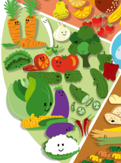 Verduras y hortalizas que aparecen en la rueda de alimentos.