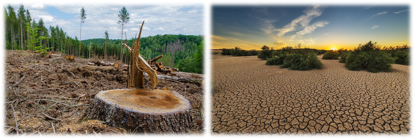 Dos imágenes. Paisaje deforestado y desertización