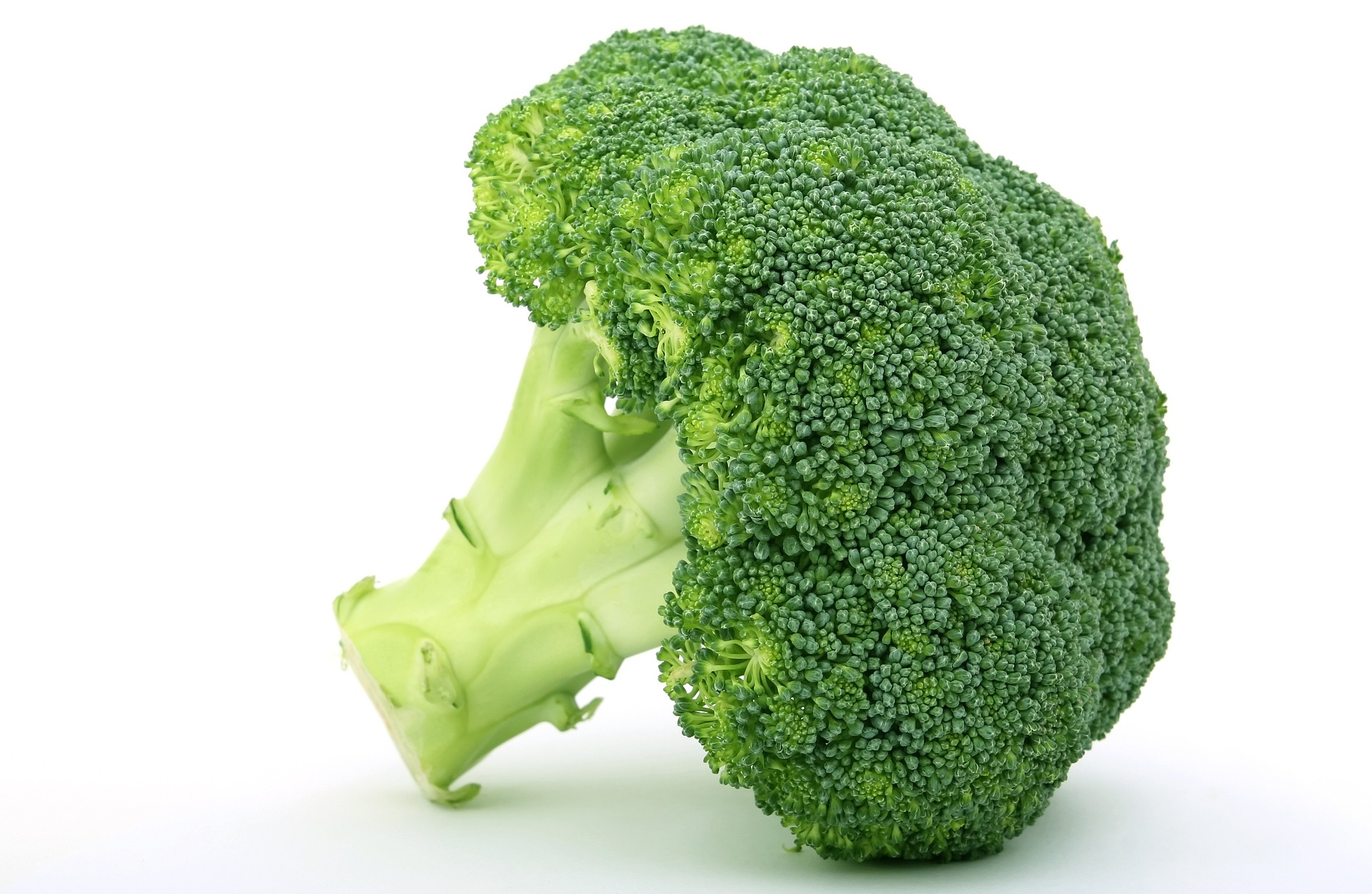 Fotografía de una verdura. El brócoli. 