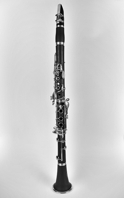 Fotografía de un clarinete en la parte posterior.