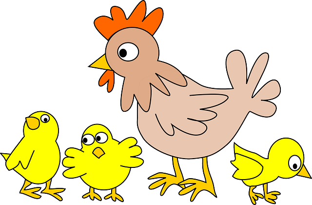 Dibujo de una gallina rodeada por tres pollitos