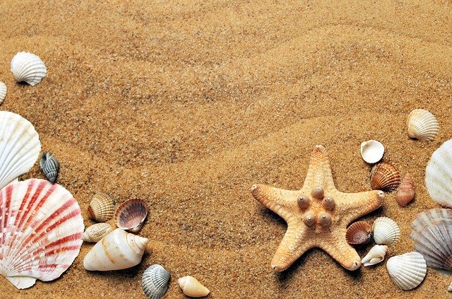 Fotografía de una playa con unos adornos en forma de conchas