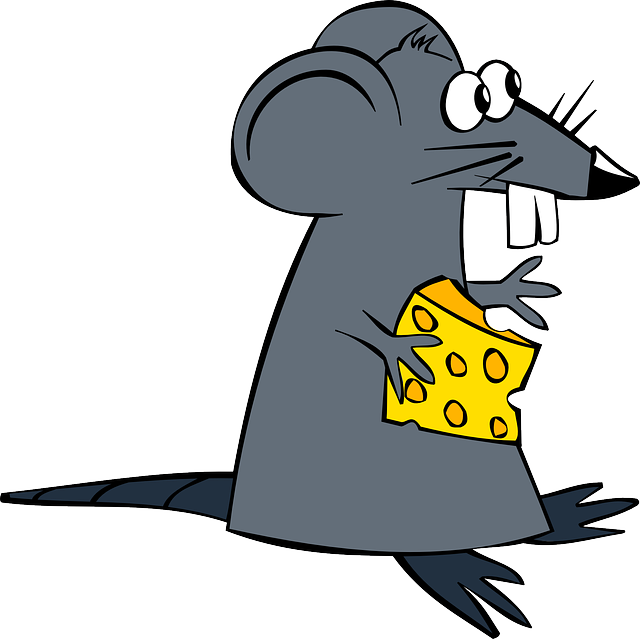 Dibujo de un ratón comiendo un queso.