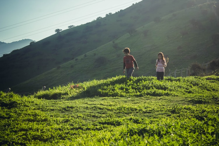 Una niña y un niño paseando por el prado.