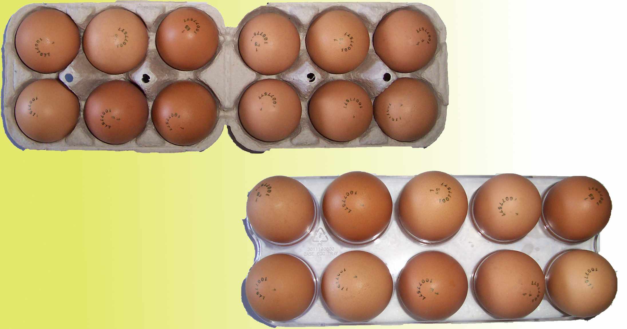 Envases de huevos