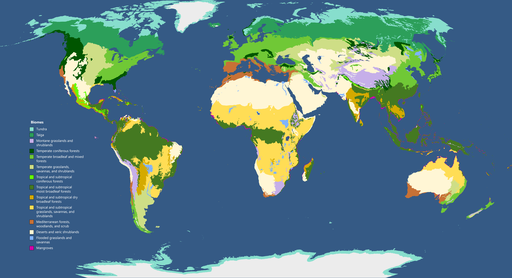 Map of different world biomes