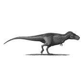 Tyranosaurius rex
