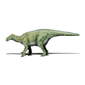 Iguanodona