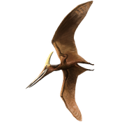 Pteranodona