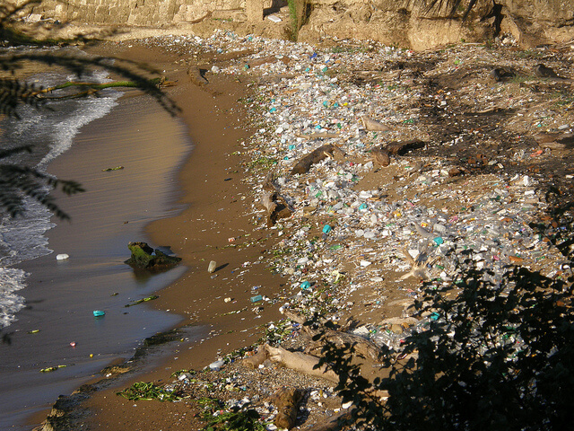 praia contaminada