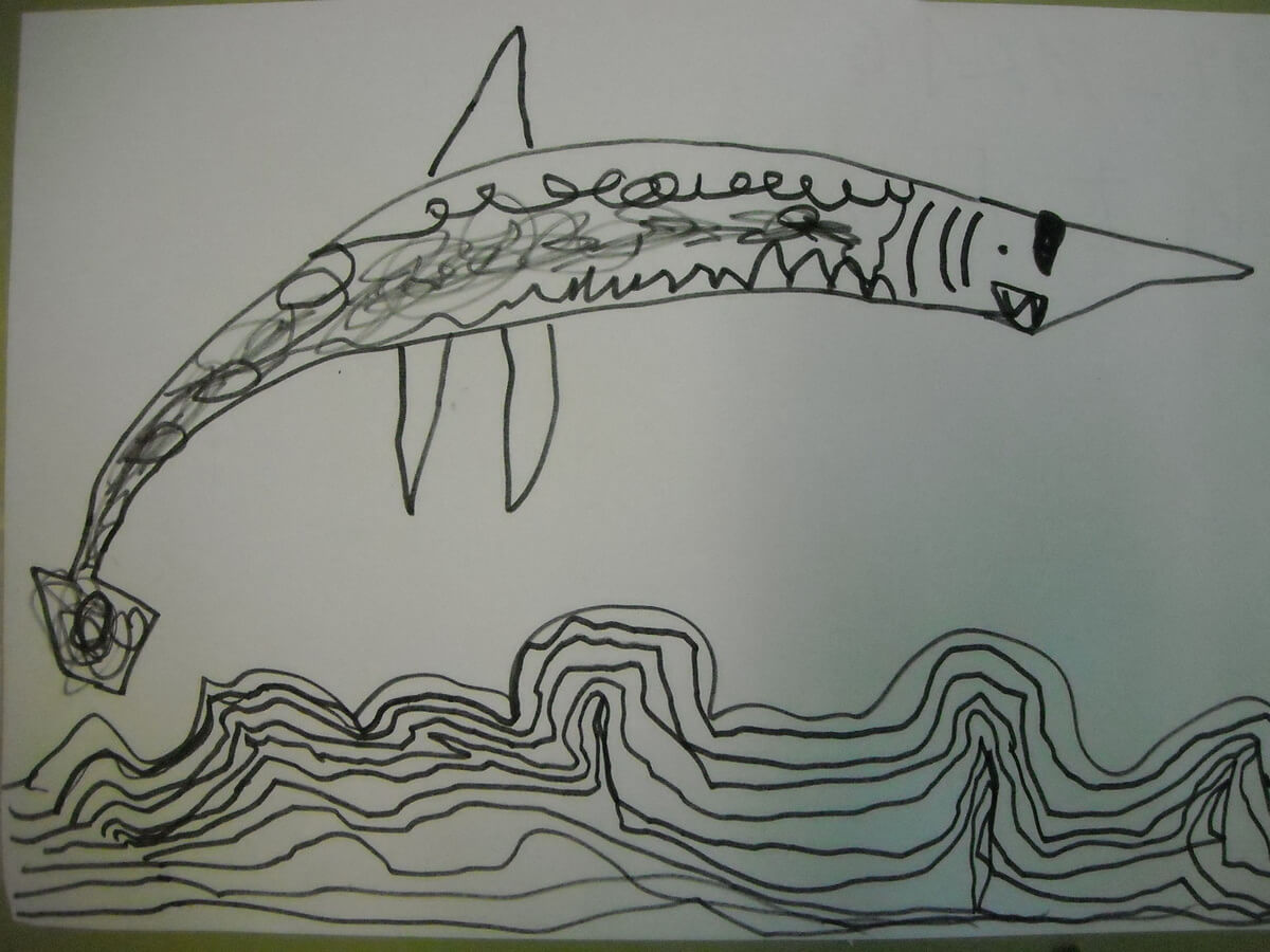 Dibujos caracteristicas tiburón