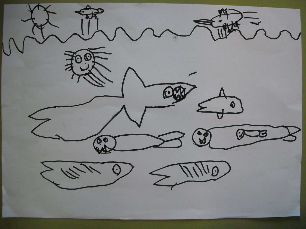 Dibujos caracteristicas tiburón