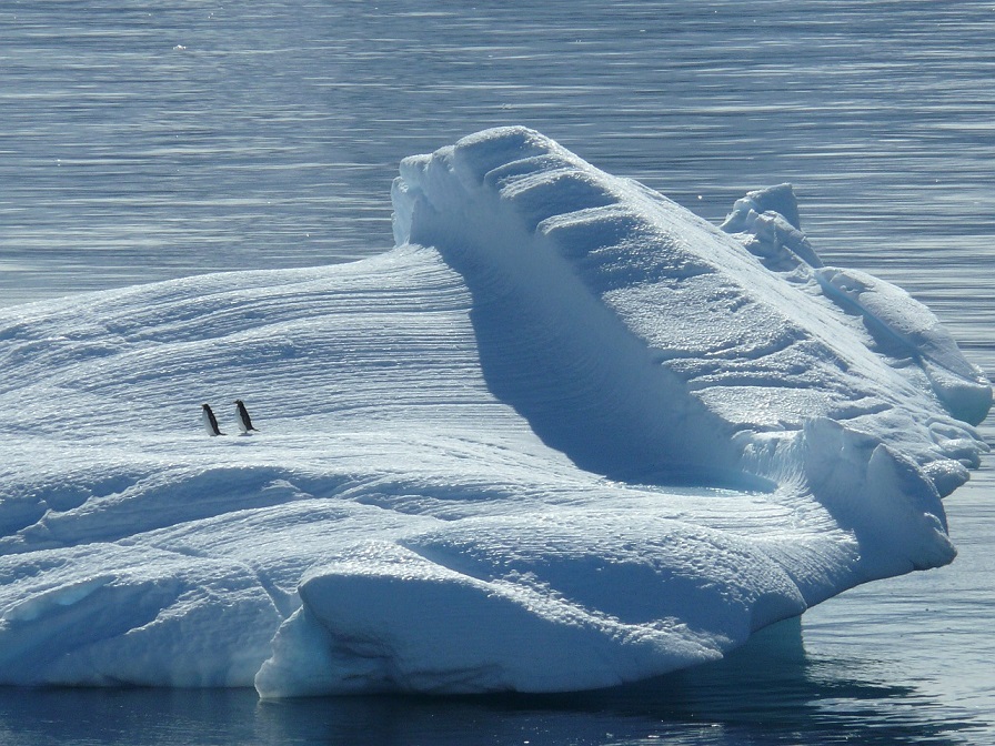 Iceberg en La Antártida