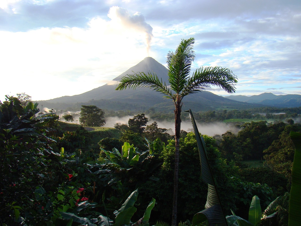 Selva Costa Rica