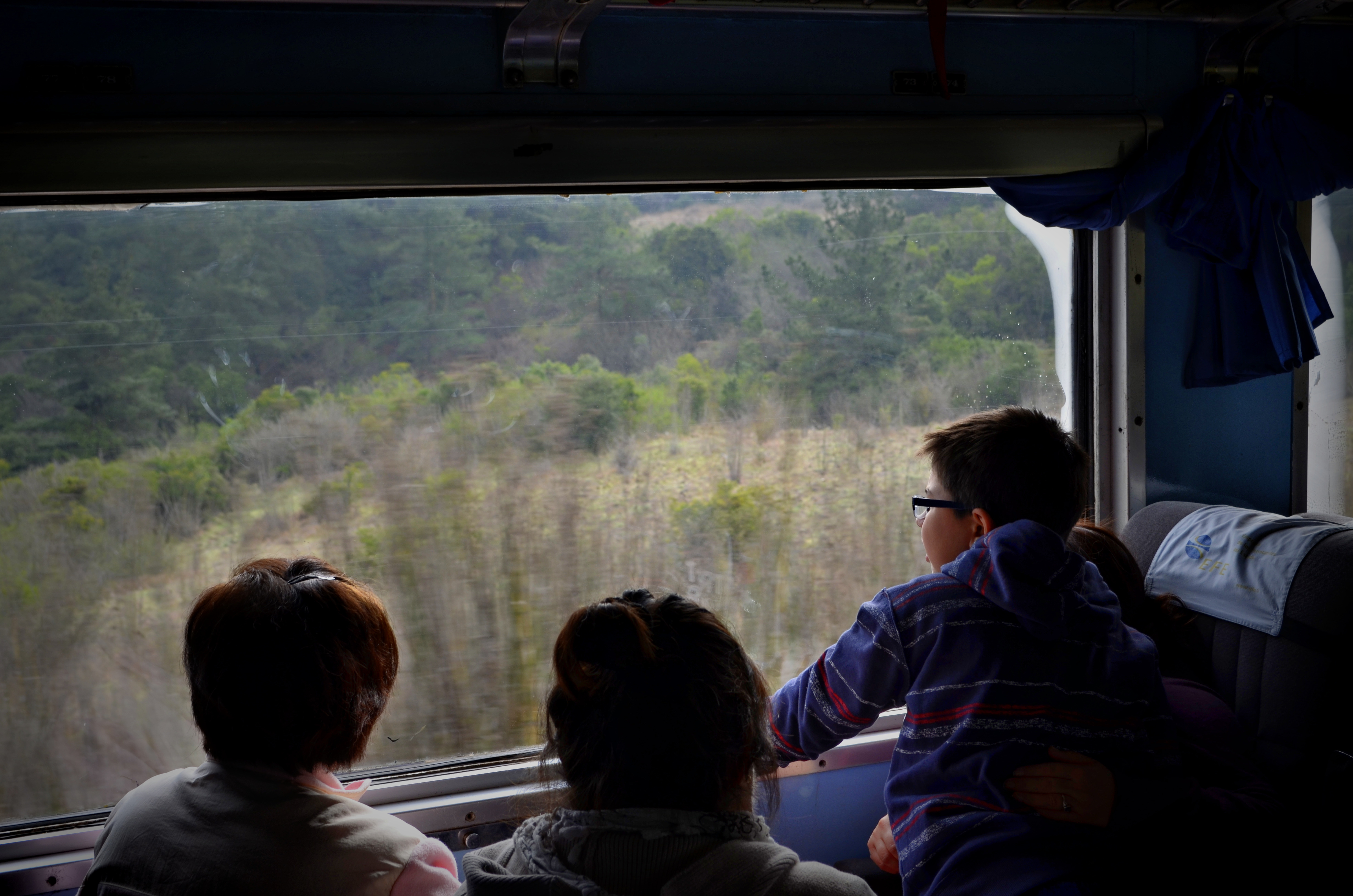 niños mirando por la ventana en tren