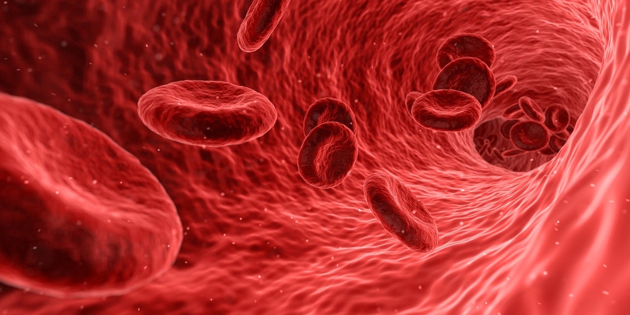 Imagen de Sangre, Células y Rojo